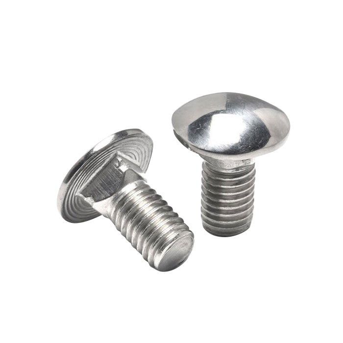 SS304 SS316 DIN603 Vognbolt